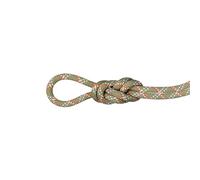 Mammut - 9.5 Gym Classic Rope - Corde à simple - 50 m - boa / white