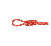 Mammut 9.5 Gym Classic Rope - Corde d'Escalade en Salle | Solide et Durable | 50 m, Framboise/Blanc