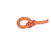 Mammut Corde simple Crag Classic 9,8 mm 60 m orange pur