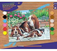 Mammut Boîte de kit de Peinture 8240044 « Painting by Numbers » - Motif Chien bassetEnviron 30 x 40 cm