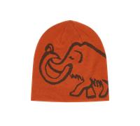 Mammut Bonnet réversible Logo Beanie Reversible Brown one size