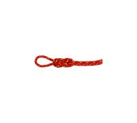 Mammut Corde à double dynamique imprégnée, très résistante aux coupures 8.0 Alpine Core Protect Dry Rope Rouge 70 m
