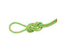 Mammut Corde à double pour l’escalade et l’alpinisme 8.0 Alpine Dry Rope 30m Miscellaneous 30 m