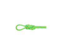 Mammut Corde à double pour l’escalade et l’alpinisme 8.0 Alpine Dry Rope 60m Vert 60 m