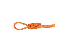 Mammut Corde à double pour l’escalade et l’alpinisme 8.0 Alpine Dry Rope Orange 70 m