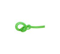 Mammut Corde à simple d’escalade sportive/traditionnelle 9.5 Crag Dry Rope 70m Vert 70 m