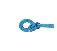 Mammut Corde à simple d’escalade sportive/traditionnelle 9.8 Crag Classic Rope 60m Vert 60 m