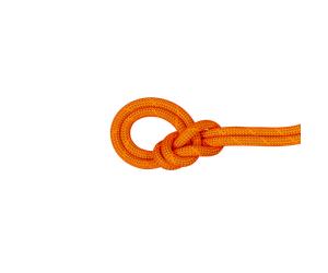 Mammut Corde à simple d’escalade sportive/traditionnelle 9.8 Crag Dry Rope 70m Orange 70 m