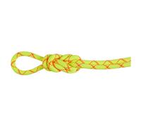Mammut Corde à simple 9,5 mm Alpine Core Protect Dry Halo / Vibrant Orange 60 m