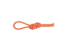 Mammut Corde d'escalade à double légère 7.5 Alpine Sender Dry Rope 60m Rouge 60 m
