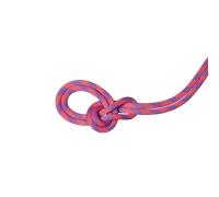 Mammut Corde d'escalade polyvalente 9.5 Crag Dry Rope Duodess 70m Pourpre 70 m