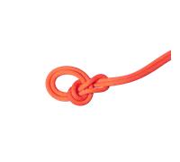 Mammut Corde d'escalade résistante et polyvalente 9.8 Crag Dry Rope 80m Orange 80 m