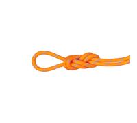 Mammut Corde étanche 8.7 Alpine Sender 70 m