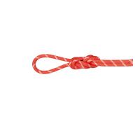 Mammut Corde polyvalente pour l’escalade grande voie 8.0 Alpine Classic Rope 30m Miscellaneous 30 m