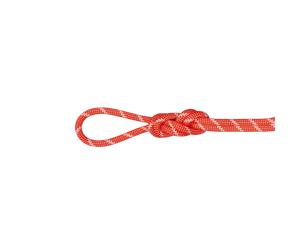 Mammut Corde polyvalente pour l’escalade grande voie 8.0 Alpine Classic Rope 30m Miscellaneous 30 m