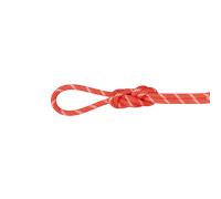 Mammut Corde polyvalente pour l’escalade grande voie 8.0 Alpine Classic Rope 50m Orange 50 m