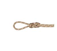 Mammut Corde polyvalente pour l’escalade grande voie 8.0 Alpine Classic Rope 50m Vert 50 m
