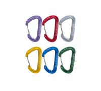 Mammut Mousquetons Sender Wire Rackpack Pack de 6 Multicolore