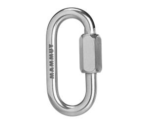 Mammut Maillon rapide en inox Maillon Gris 8 mm
