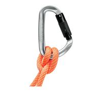 Mammut Mousqueton Classic Hms Twistlock Plus