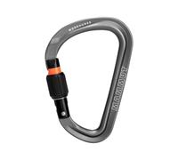 Mammut Workhorse Hms Screwgate Snap Hook Gris