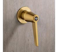 Mamoli GIO Ponti Mitigeur de douche monocommande à 1 sortie, 3520PE00000G,