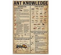 MAMOOR Panneau rétro en étain de 20,3 x 30,5 cm avec inscription « The Anatomy of The Ant » - Décoration murale pour les amateurs de fourmis - Décoration murale rétro pour maison, chambre, bar, café