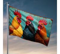 Man Cave Accessoires Et Décor Coqs Colorés : Un Trio Vibrant De Drapeau Amis De La Ferme Décoration De Maison Pour Hommes Manches À Vent Extérieur (152 x 244 cm)