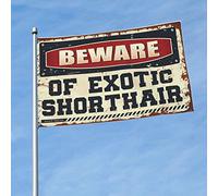 Man Cave Decorations Beware Of Exotic Shorthair Drapeau Panneau de porche Décoration de cour 30 x 45 cm