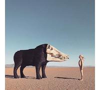 Man Man - Dream Hunting In The Valley Of The In-Between [Cd]