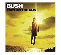 Man on the run