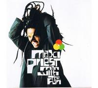 Priest, Maxi – Man With the Fun – Virgin Mobile