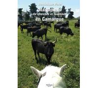 Manadiers De Chevaux Et De Taureaux En Camargue