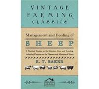 Management and Feeding of Sheep A Practical Treatise on the Selection Care And Breeding Including Chapters on the Diseases and Ailments of Sheep - E. T. B E. T. BakerE. T. Baker (Auteur)