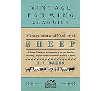 Management And Feeding Of Sheep - A Practical Treatise On The Selection, Care, And Breeding, Including Chapters On The Diseases And Ailments Of Sheep