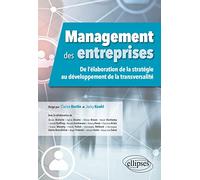Management des entreprises: De l'élaboration de la stratégie au développement de la transversalité