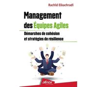 Management Des Equipes Agiles - Démarches De Cohésion Et Stratégies De Résilience