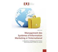 Management des systèmes d information marketing à l international