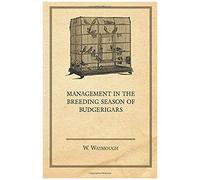 Management In The Breeding Season Of Budgerigars