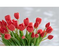 Manahee Design | Bouquet de 7 tulipes en PU corail rose Large | Rose | 45,5 x 16,5 x 10 cm