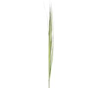 Manahee Design | Branche d'Herbes en Plastique Vert | 157x10x10 cm