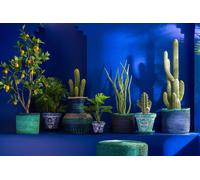 Manahee Design | Citronnier artificiel en pot plastique vert large | 130x60x48 cm