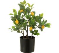 Manahee Design | Citronnier Artificiel Vert en Pot Small | Hauteur 60 cm | Longueur 45 cm | Largeur 32 cm