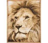 Manahee Design | Décoration Murale Lion Bois/Verre Marron | Marron | 4,5 cm x 81 cm x 100 cm