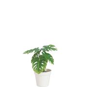 Manahee Design | Feuille Philo en plastique vert | 27,5 cm x 12,5 cm x 12,5 cm