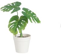 Manahee Design | Feuille Philo en Pot Plastique Vert/Blanc | 25 cm x 21 cm x 10 cm