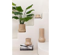 Manahee Design | Plante Pothos en pot plastique vert | 70 cm x 50 cm x 50 cm