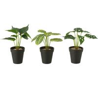 Manahee Design | Plastique Vert | 23 cm H x 20 cm L x 20 cm P (Lot de 3)