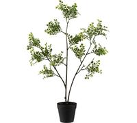 Manahee Design | Tortue en pot plastique vert | 61 cm x 10 cm x 25 cm