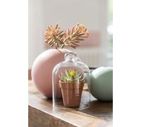 Manahee Design | Vase Boule en Céramique Mat Vert Pastel | 11 cm x 12 cm x 12 cm